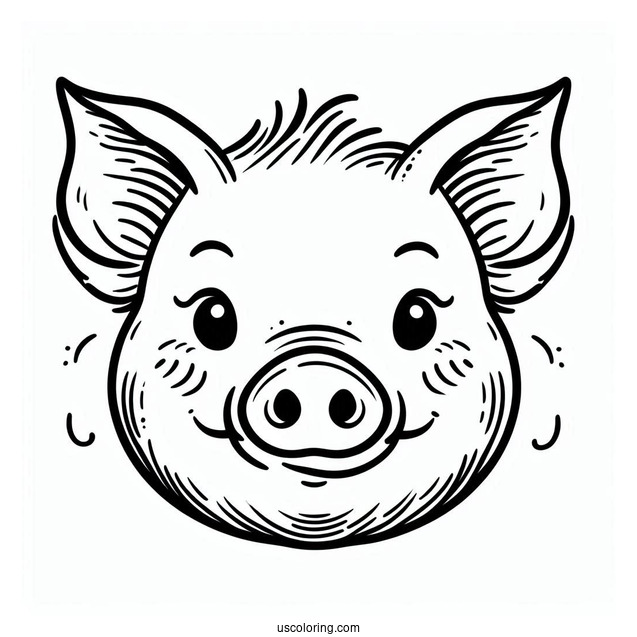 Easy Outline Of a Pigs Face