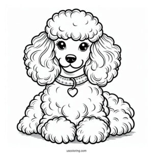 Poodle Dog With Collar