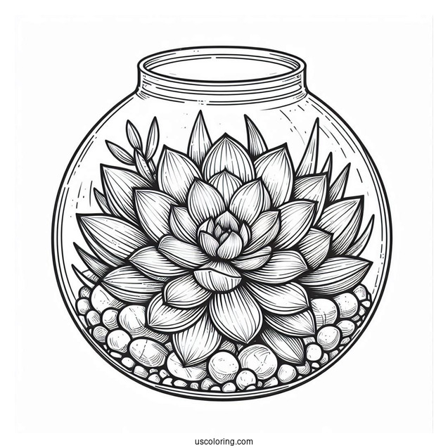 Elegant Succulent Coloring Page Glass Terrarium