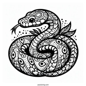 Large Python Snake