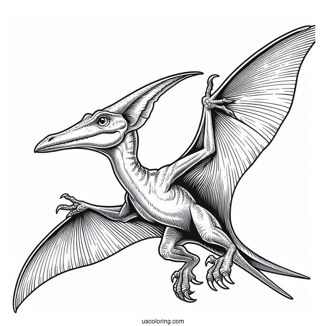 Detailed Pterodactyl Coloring Page In The Air