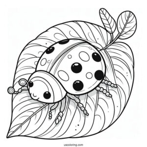 Ladybug Beetle Coloring Page On A Leaf For Kids