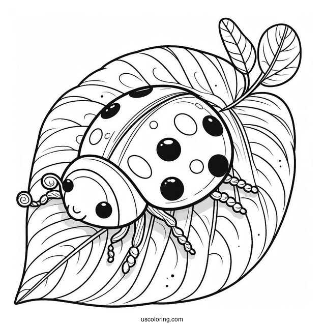 Ladybug Beetle Coloring Page On A Leaf For Kids