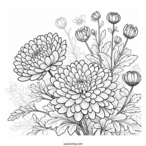 Flower Coloring Pages Of Chrysanthemum In The Field
