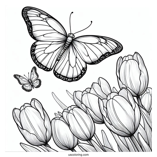 Realistic Outline Of Butterfly Hovering Over Tulips