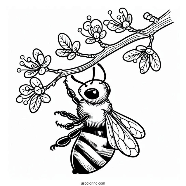 Bee Coloring Page Hanging Off A Tree Branch