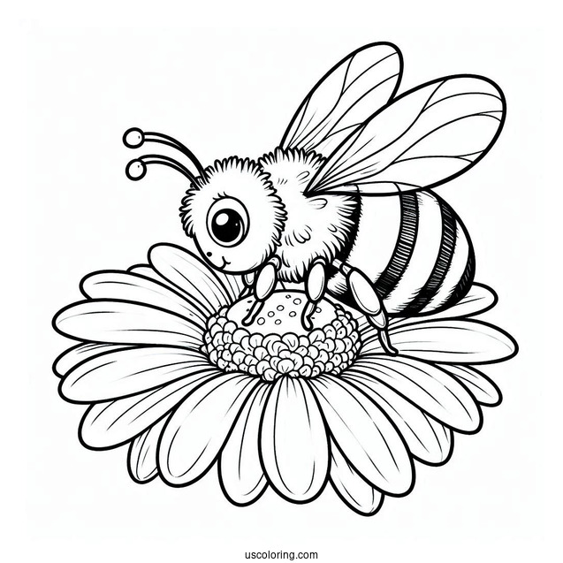Pretty Little Bee Coloring Page Perched On A Daisy