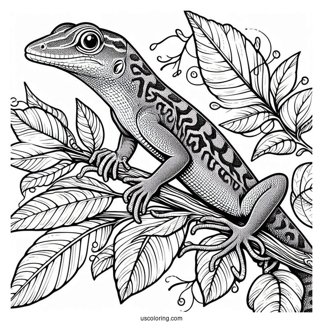 Lizard Coloring Page of Green Anole Lizard Camouflaging With Leaf