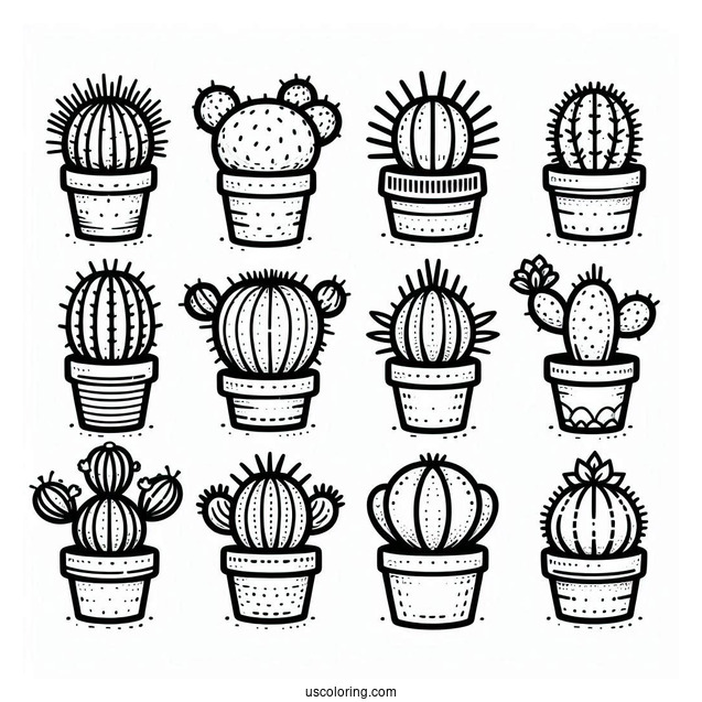 Various Baby Cactus Plants To Color
