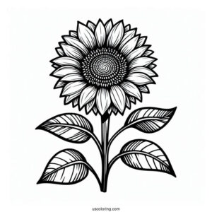 Sunflower To Color