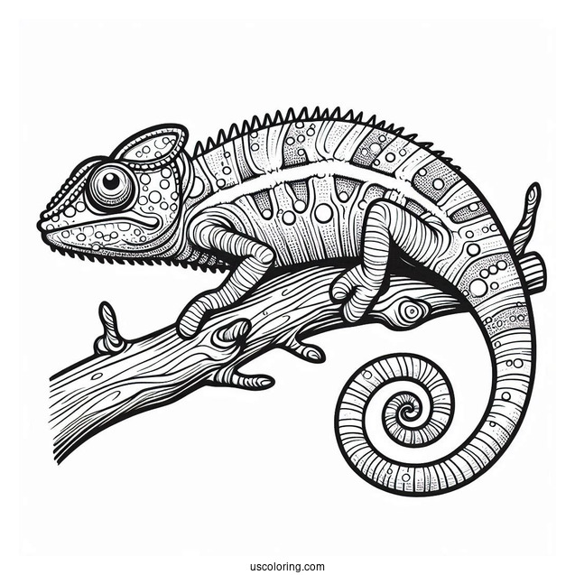 Chameleon Lizard Coloring Page On Edge Of Stick Coloring Sheet