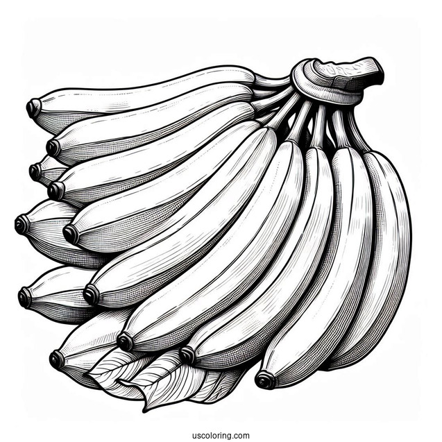 Multiple Bunches Of Bananas Coloring Pages