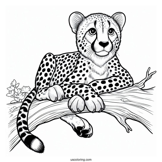 Big Cheetah Coloring Page Resting On A Tree Branch
