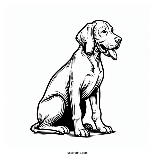 Coloring Page Of Vizsla Dog Sitting Down