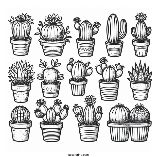 Various Baby Cactus Plants To Color