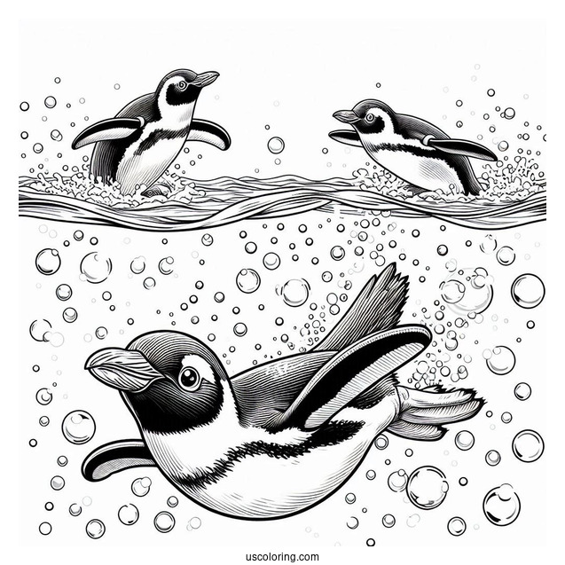 Yellow Eyed Penguins Diving Into Ocean