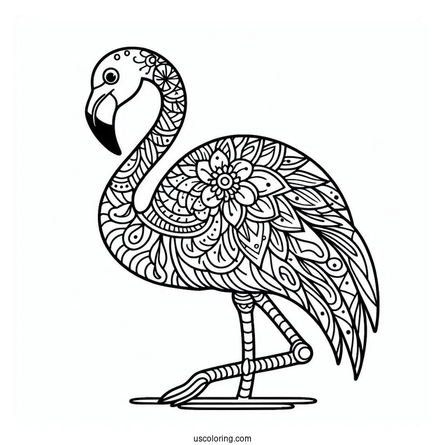 Mandala Flamingo To Color For Relaxation