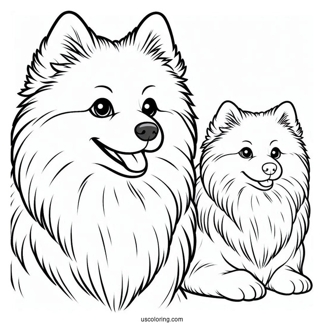 American Eskimo Dog To Color For Preschoolers