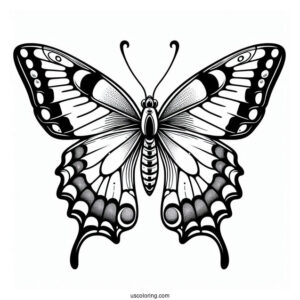 Simple Coloring Sheet Of Swallowtail Butterfly