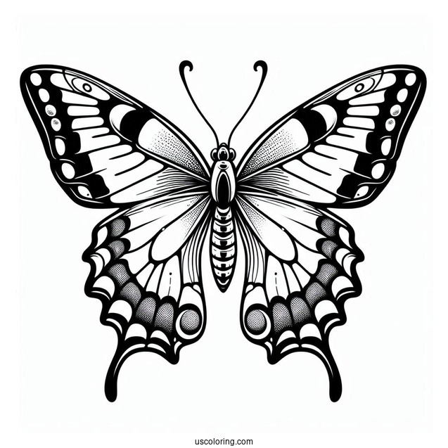 Simple Coloring Sheet Of Swallowtail Butterfly