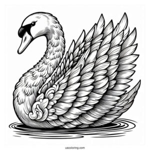 Large Regal Swan Coloring Page With Detailed Feathers