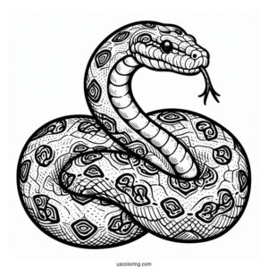 Large Python Snake