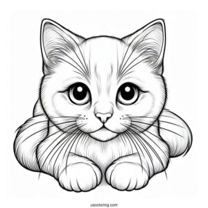 Simple Outline Of Realistic Cat Coloring Page