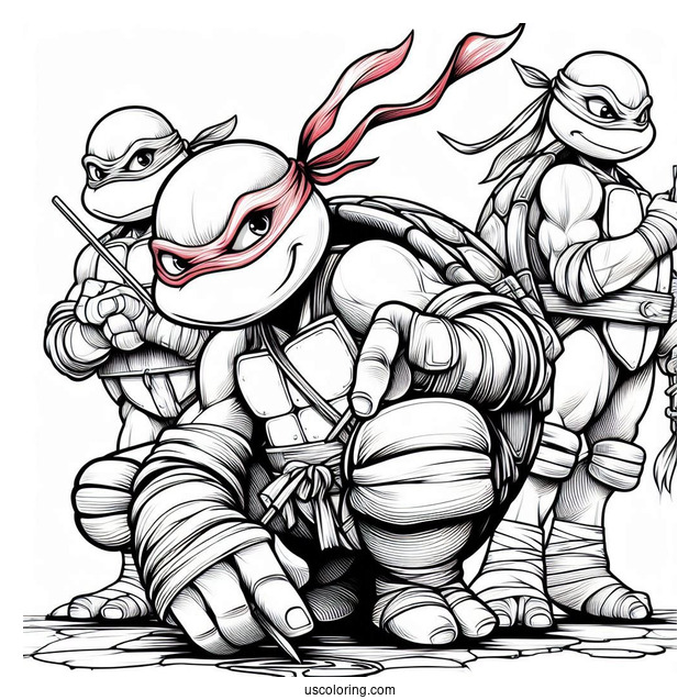 Leonardo, Donatello, Raphael, _ Michaelangelo Ninja Turtles