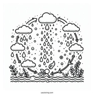 Rain Coloring Page Of Water Cycle Diagram