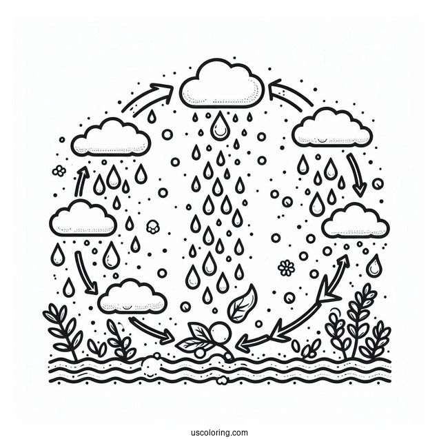 Rain Coloring Page Of Water Cycle Diagram