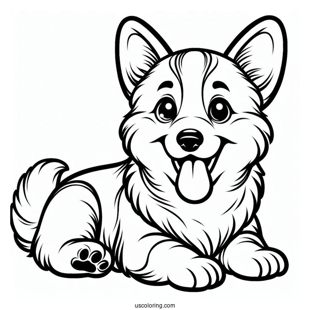 Easy Corgi Coloring Page With Tongue Out For Kids