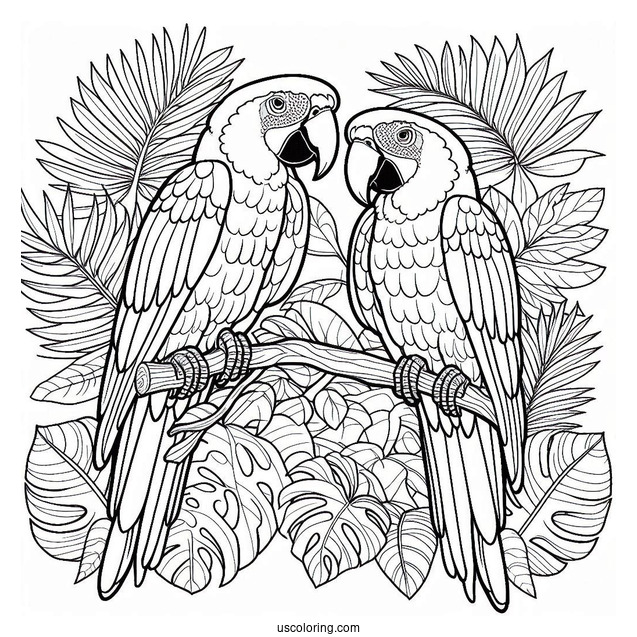 Two Macau Parrots In The Jungle Coloring Page