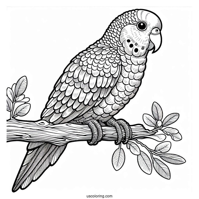 Detailed Parrot Sitting On a Branch