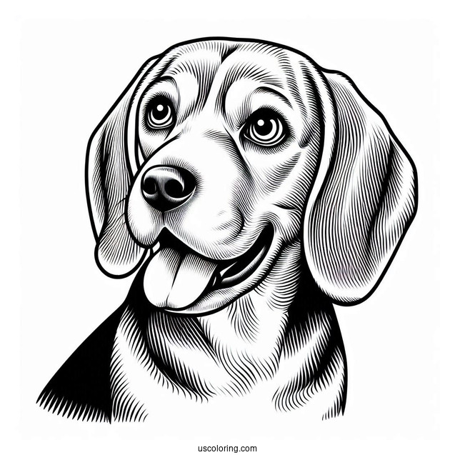 Alert Beagle Coloring Page