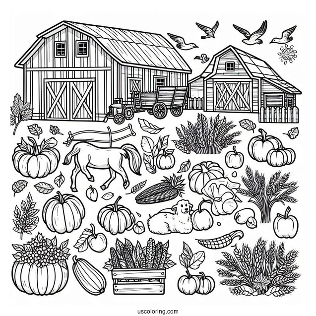 Farm Harvest To Color