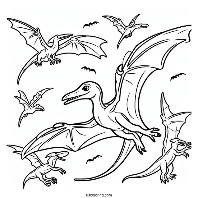 Simple Pterodactyl Coloring Page For Kids