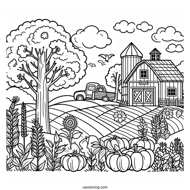 Farm Harvest To Color