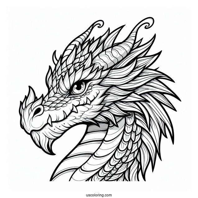 Detailed Dragon Face To Color