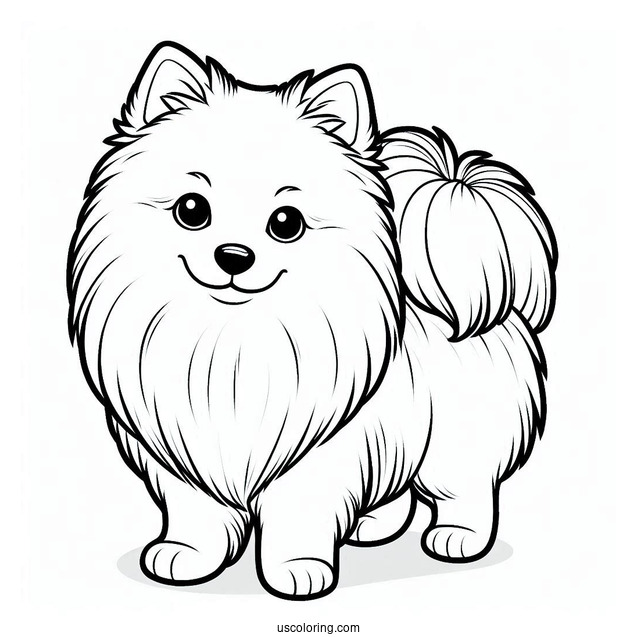 American Eskimo Dog To Color For Preschoolers