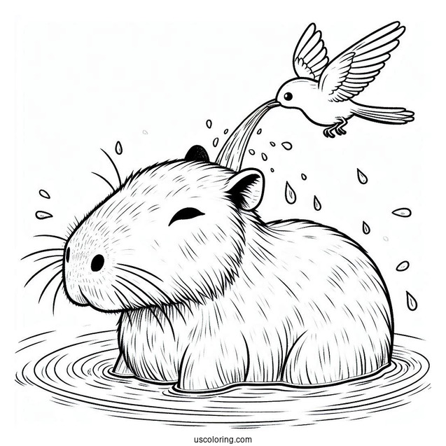 Bathing Capybara Coloring Page With Bird On Its Head