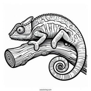 Chameleon Lizard Coloring Page On Edge Of Stick Coloring Sheet