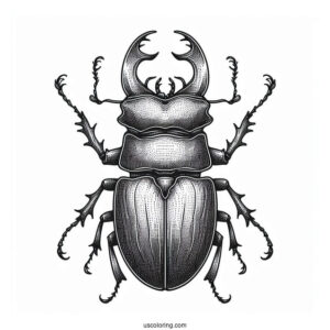 Stag Beetle Coloring Page With Textured Exoskeleton