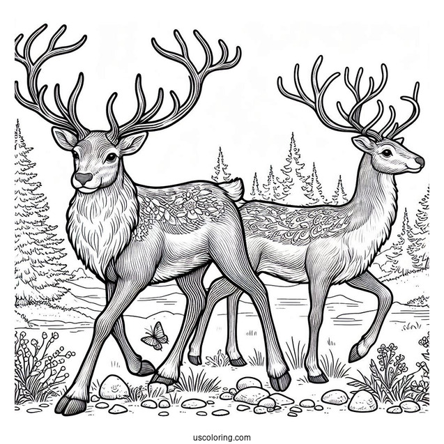 Detailed Reindeer Walking In The Wild To Color