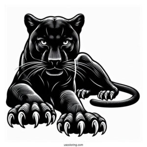 Black Panther With Claws Out
