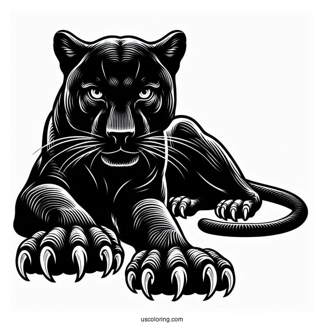 Black Panther With Claws Out