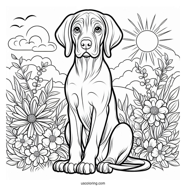 Coloring Page Of Vizsla Dog Sitting Down