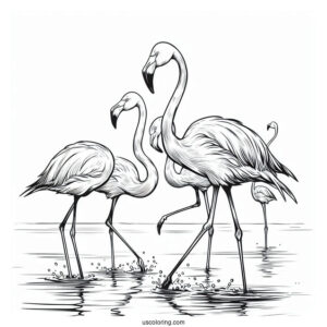 Flock Of Flamingos Walking In Water