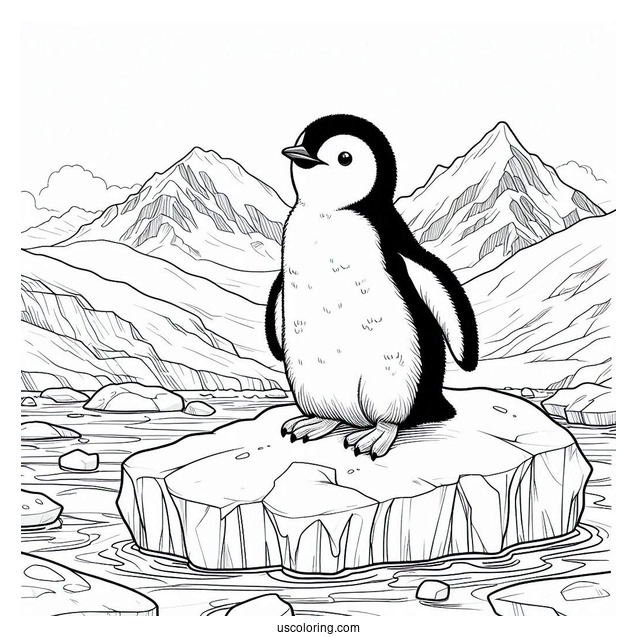 Gentoo Penguin On Ice Berg Coloring Sheet