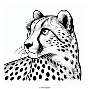 Simple Cheetah Coloring Page Looking Sideways