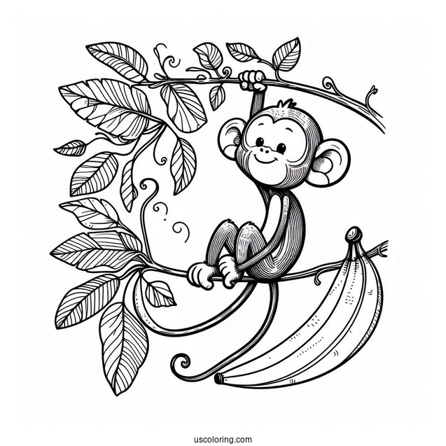 Little Monkey Hanging On A Vine Beside A Cool Banana Coloring Page